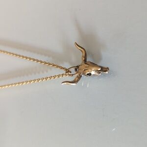 Bullhead necklace